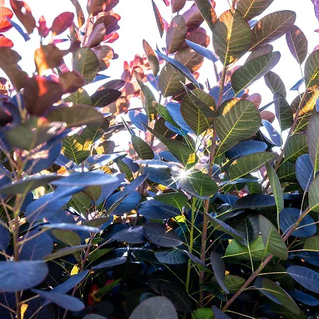 Bills Lodge, Le Plaisir De La Riviere A 2 Minutes Du Centre! La-Roche-en-Ardenne