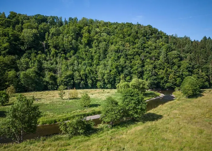 Bills Lodge, Le Plaisir De La Riviere A 2 Minutes Du Centre! דירה