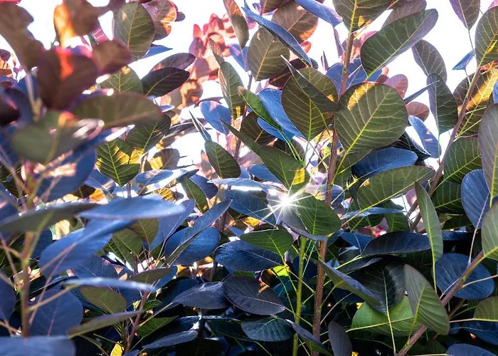 Bills Lodge, Le Plaisir De La Riviere A 2 Minutes Du Centre! לה רושה - אן - ארדן