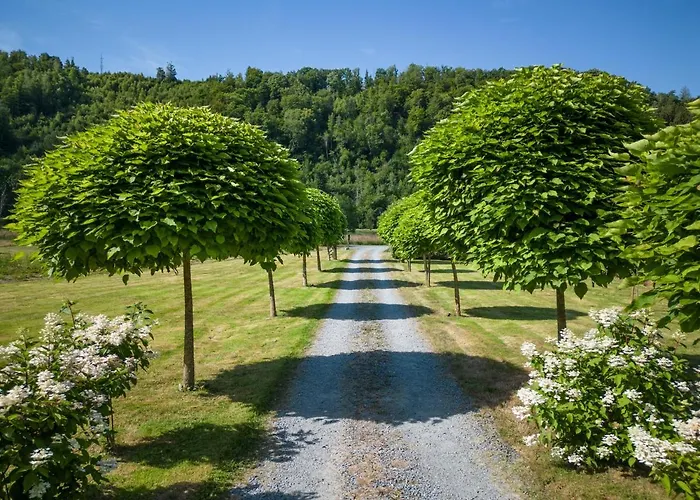 Bills Lodge, Le Plaisir De La Riviere A 2 Minutes Du Centre! דירה